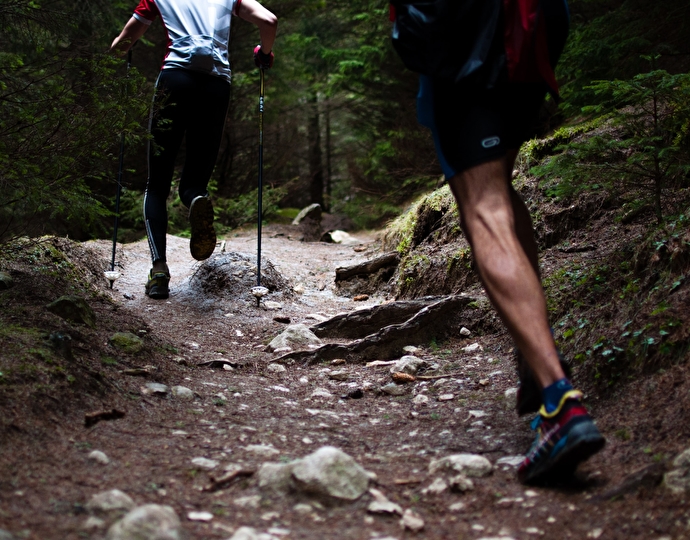 Jogging in the woods